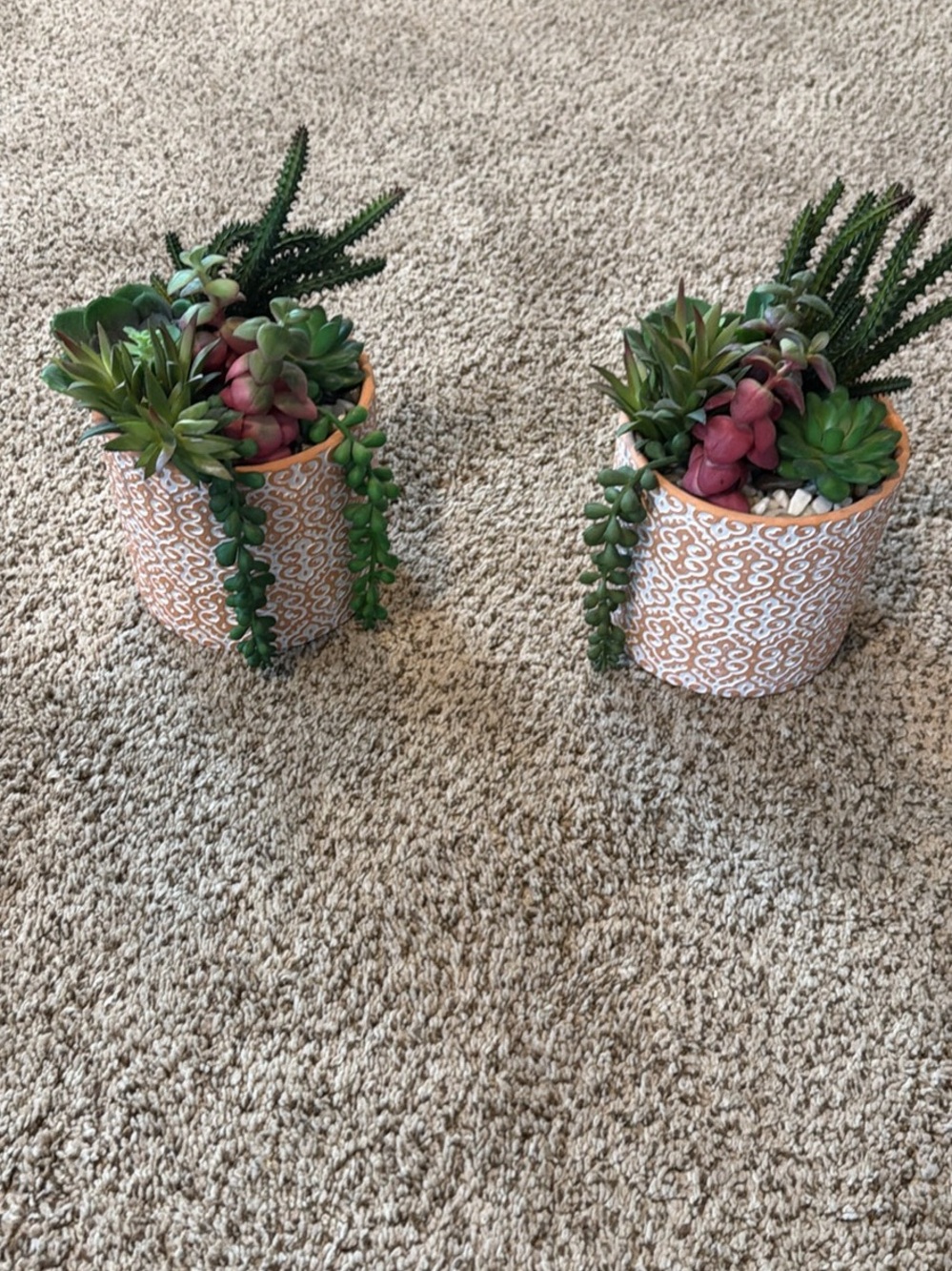 Set of 2 Artificial Ceramic Succulent Pots